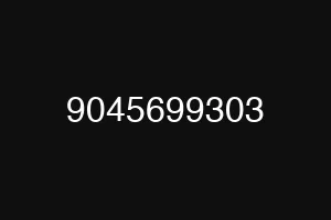 9045699303