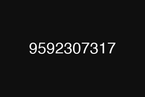 9592307317