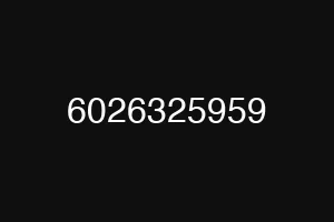 6026325959