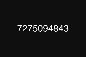 7275094843