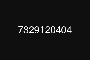 7329120404
