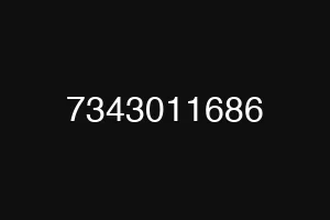 7343011686