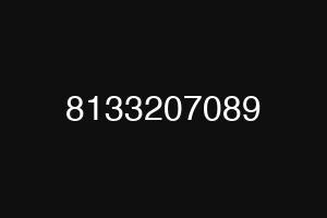 8133207089
