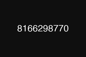 8166298770