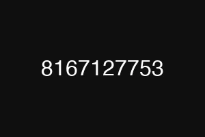 8167127753