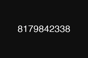 8179842338
