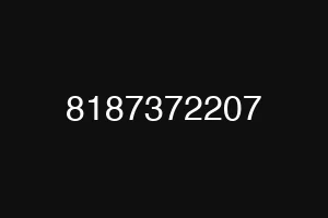 8187372207