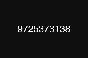 9725373138